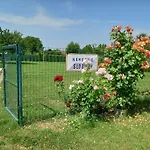 Flower Bike Гостевой дом 3*