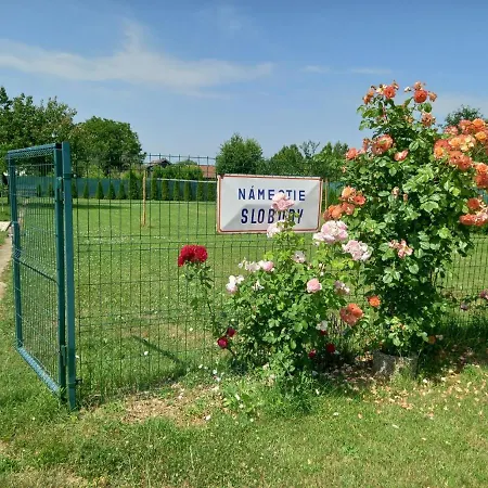 Flower Bike Гостевой дом 3*